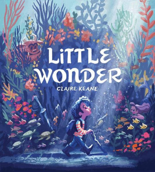 Little Wonder - Hardcover | Diverse Reads