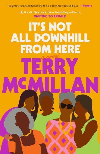 It's Not All Downhill From Here: A Novel - Paperback | Diverse Reads