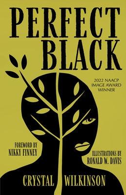 Perfect Black - Paperback | Diverse Reads