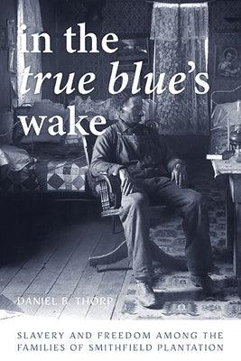 In the True Blue's Wake: Slavery and Freedom Among the Families of Smithfield Plantation - Hardcover | Diverse Reads