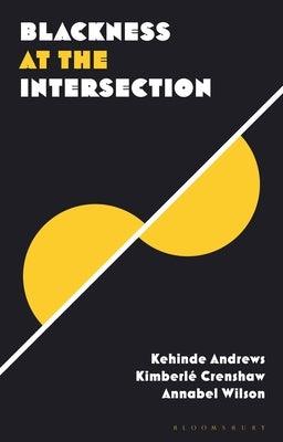 Blackness at the Intersection - Paperback | Diverse Reads