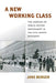 A New Working Class: The Legacies of Public-Sector Employment in the Civil Rights Movement - Hardcover | Diverse Reads