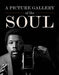 A Picture Gallery of the Soul - Hardcover | Diverse Reads