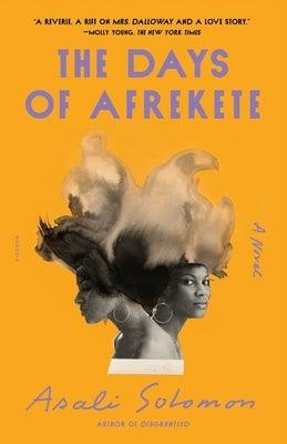 The Days of Afrekete - Paperback | Diverse Reads