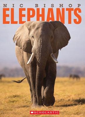Nic Bishop Elephants - Hardcover | Diverse Reads